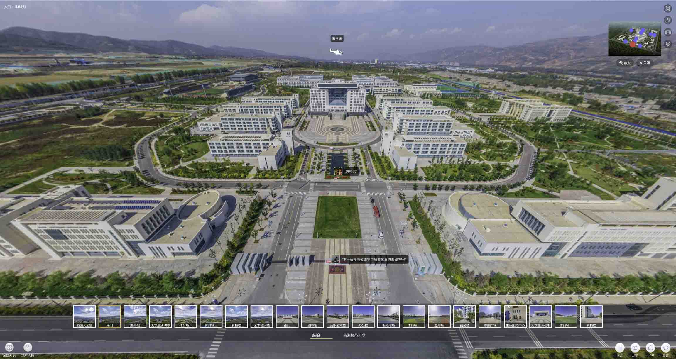 麦积油菜花-惊艳半生的花海仙境